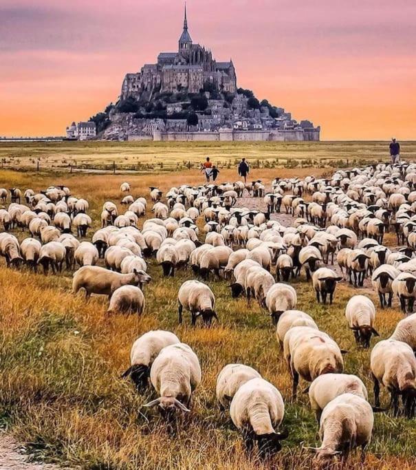 Апартаменти Le Refuge Marin Курсель-сюр-Мер Екстер'єр фото